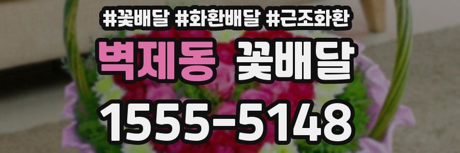 벽제동 꽃배달