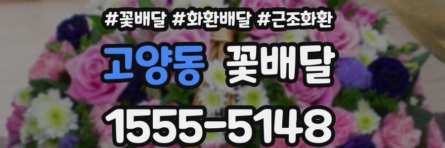 고양동 꽃배달