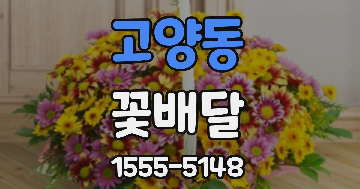 고양동 꽃배달