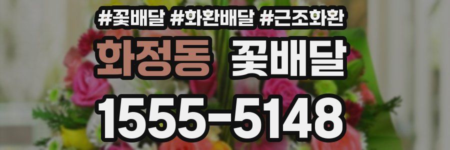 화정동 꽃배달