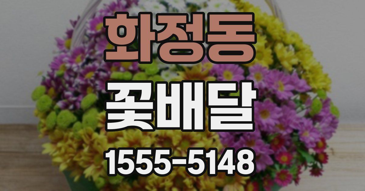 화정동 꽃배달