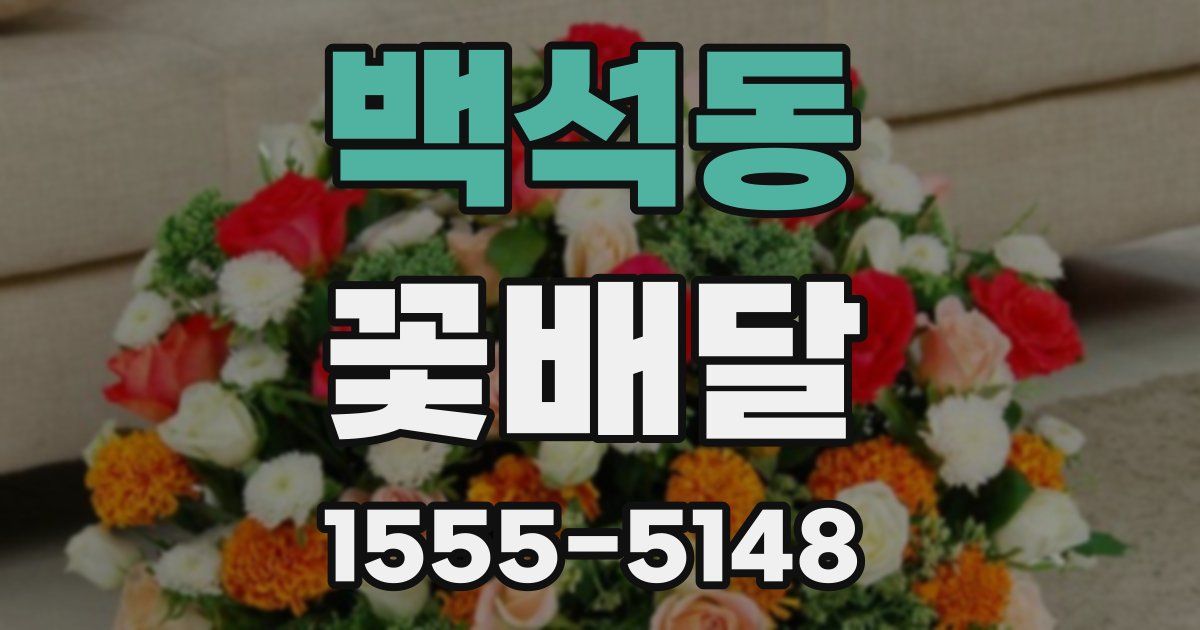 백석동 꽃배달