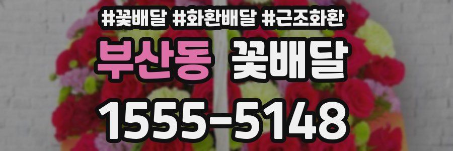 부산동 꽃배달