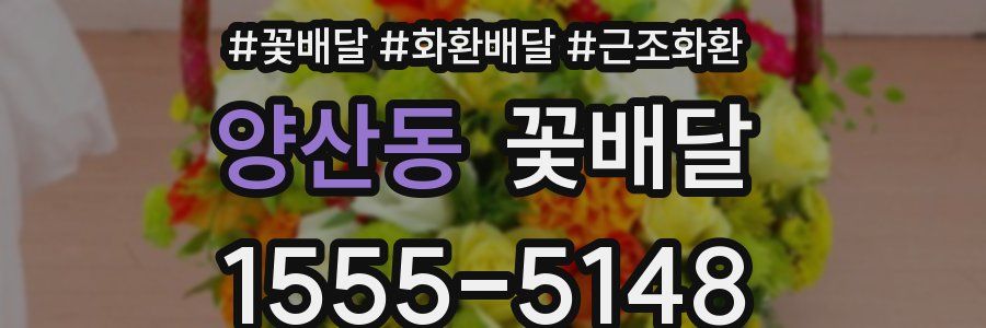 양산동 꽃배달