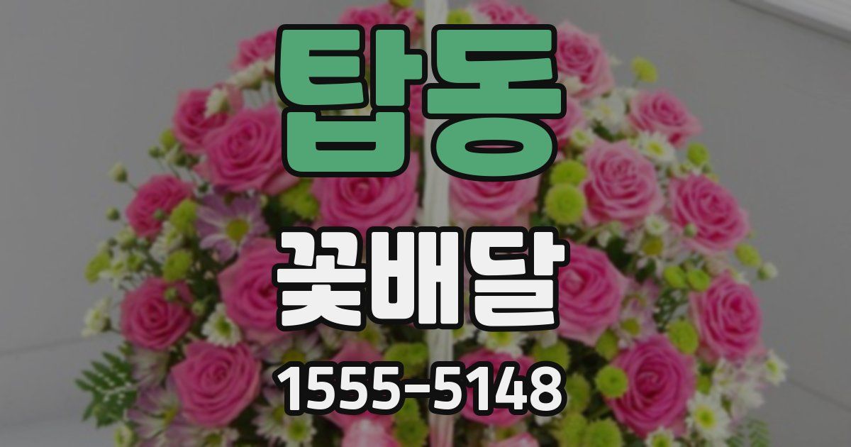 탑동 꽃배달