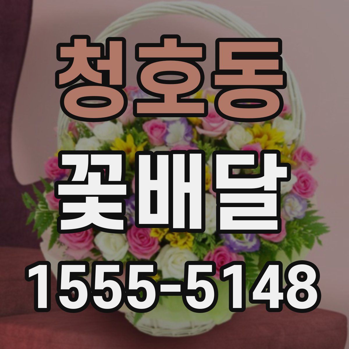 청호동 꽃배달