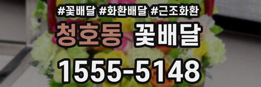 청호동 꽃배달