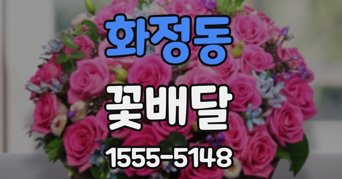 화정동 꽃배달