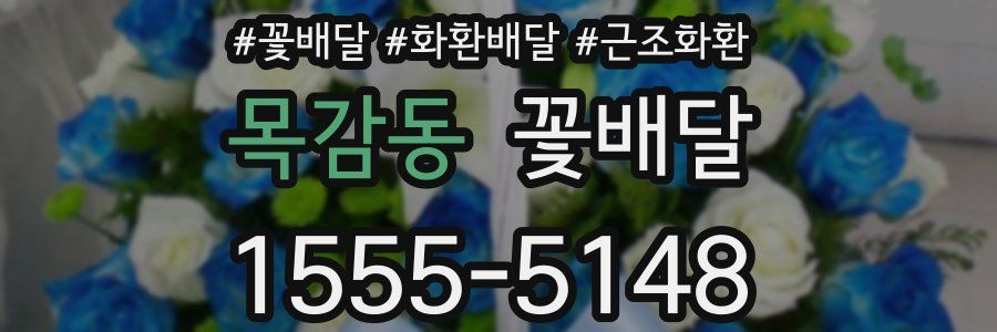 목감동 꽃배달