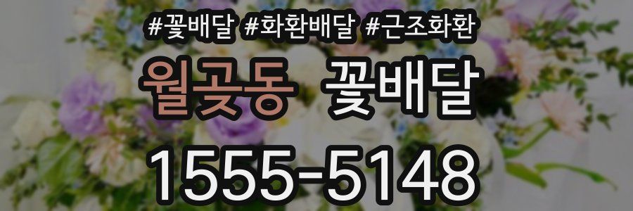 월곶동 꽃배달