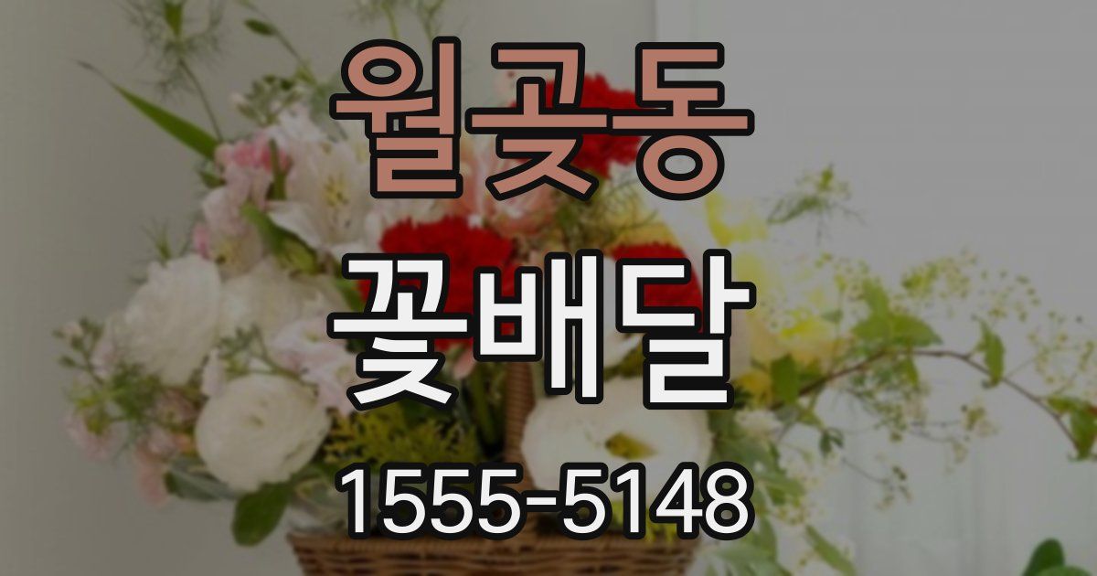 월곶동 꽃배달