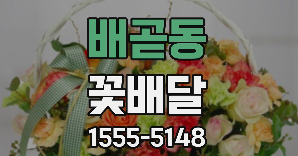 배곧동 꽃배달