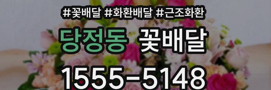 당정동 꽃배달