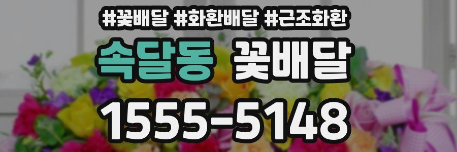 속달동 꽃배달