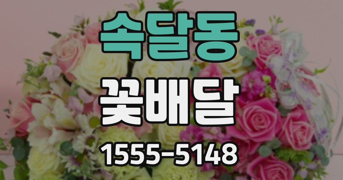 속달동 꽃배달