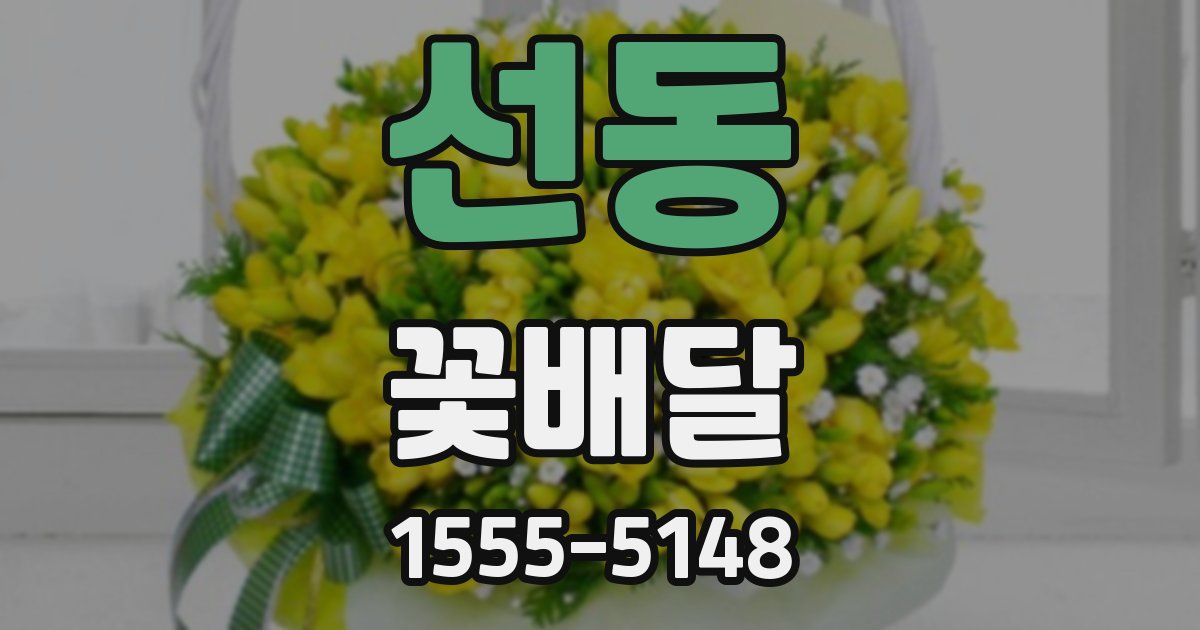 선동 꽃배달