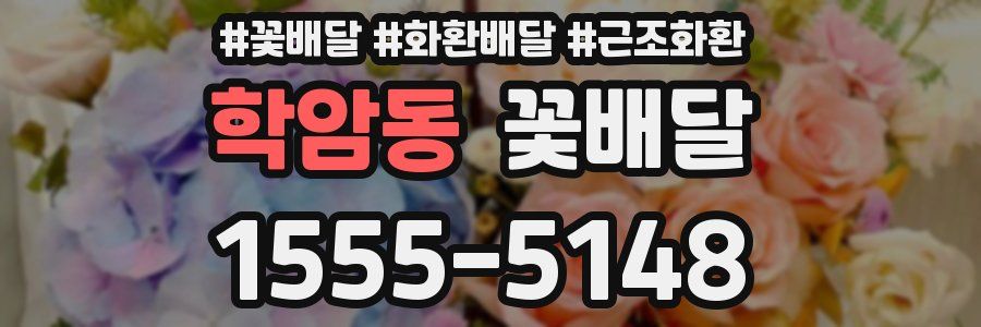 학암동 꽃배달
