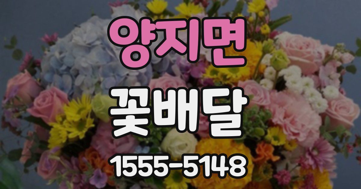 양지면 꽃배달