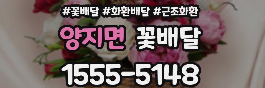 양지면 꽃배달