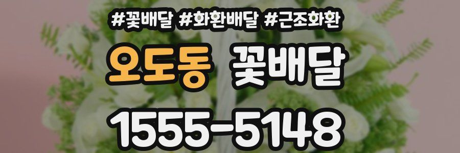 오도동 꽃배달