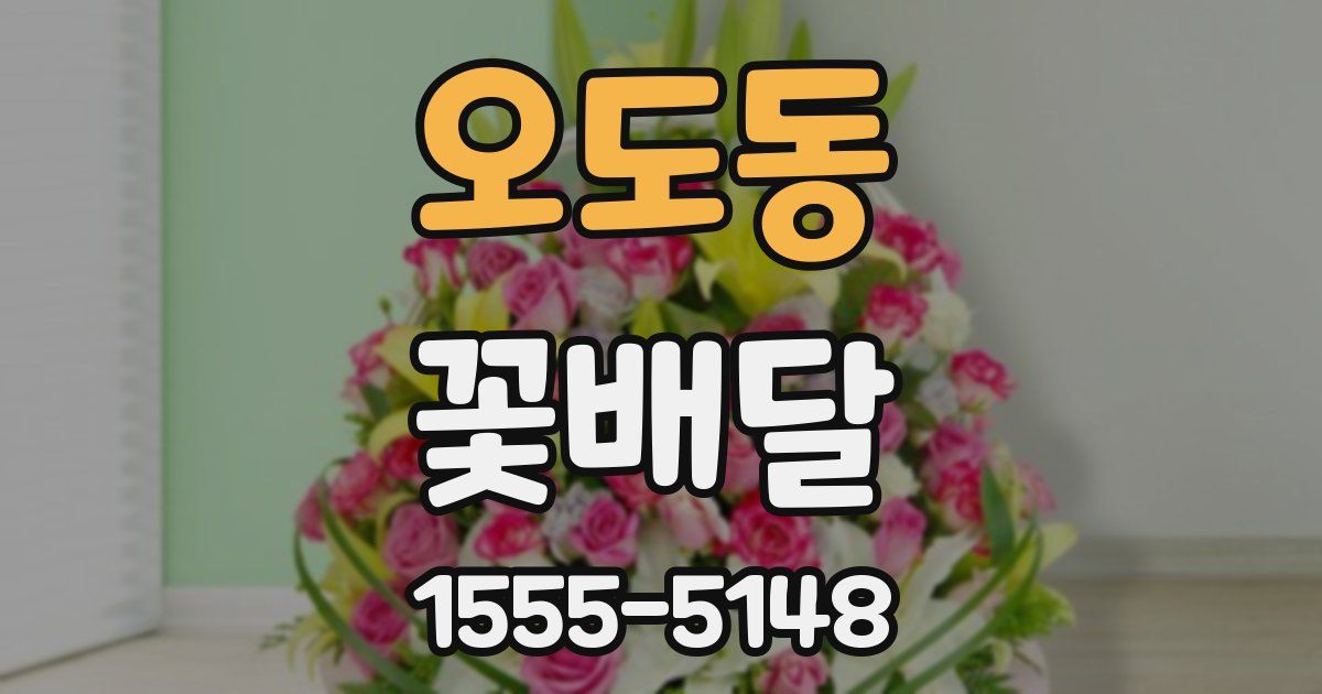 오도동 꽃배달
