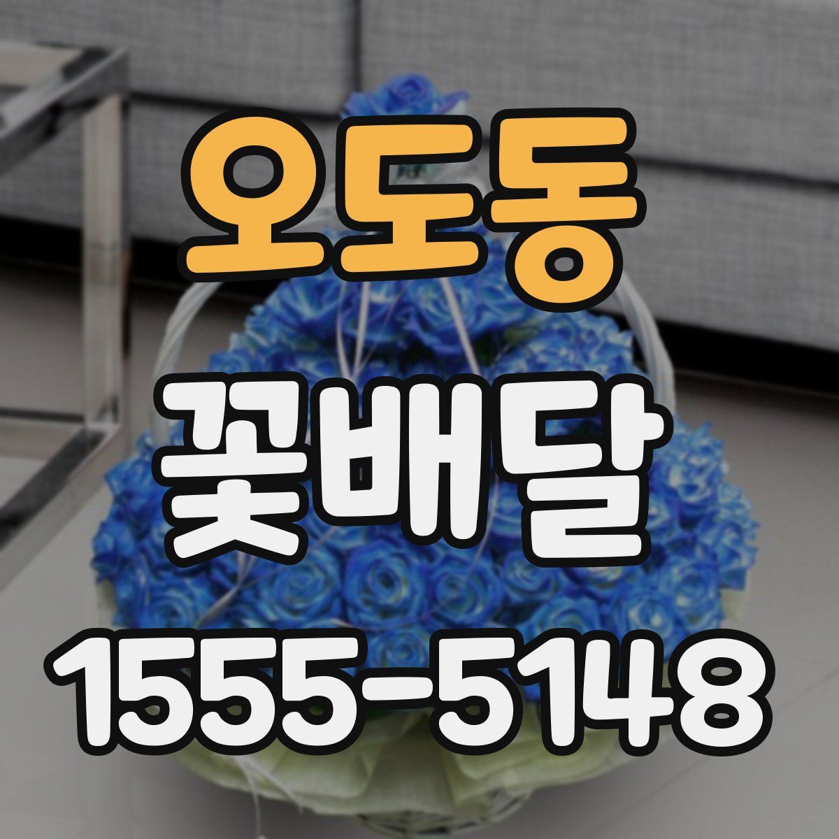 오도동 꽃배달