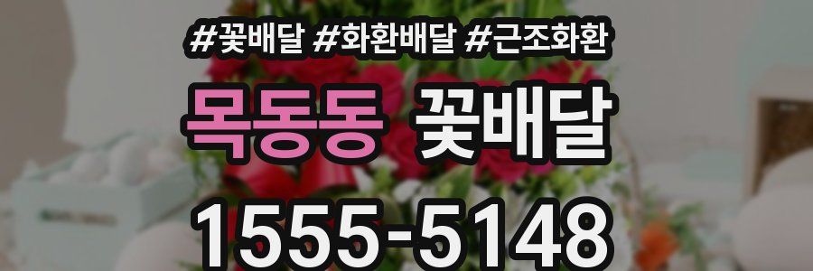 목동동 꽃배달