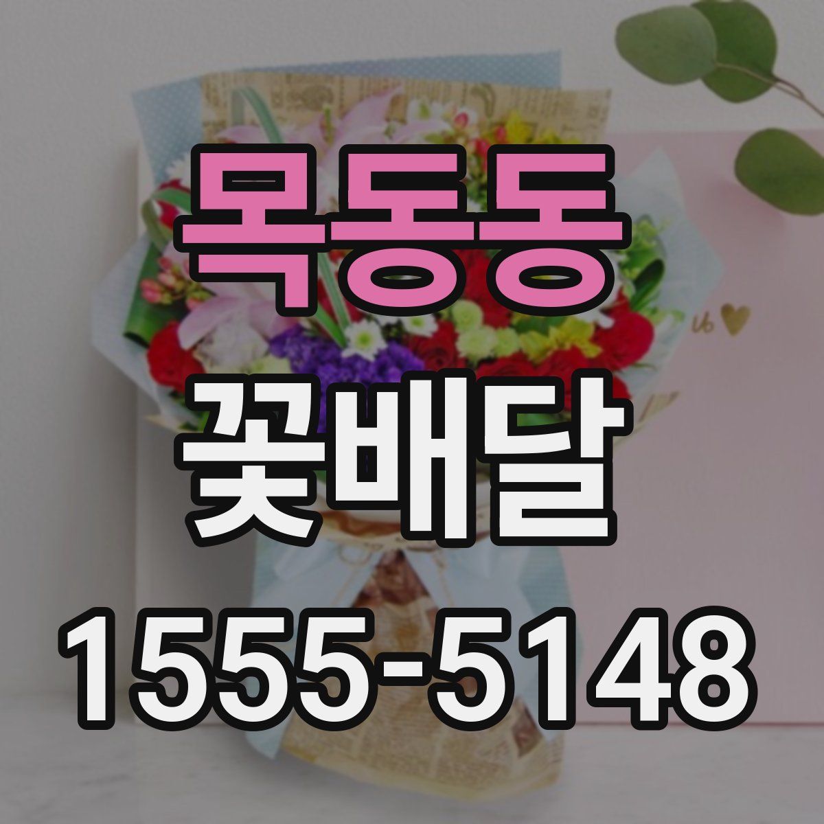 목동동 꽃배달