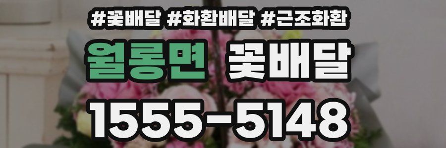 월롱면 꽃배달