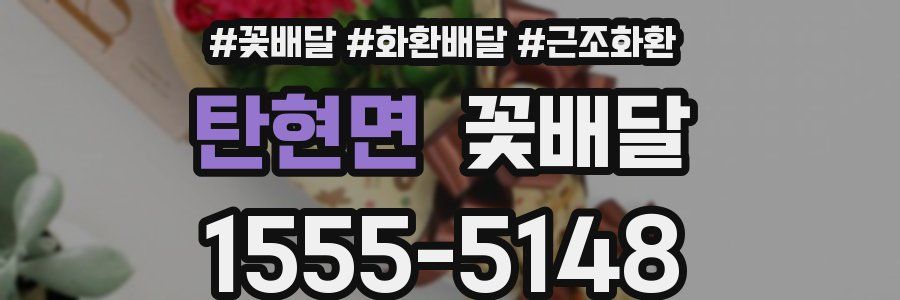 탄현면 꽃배달