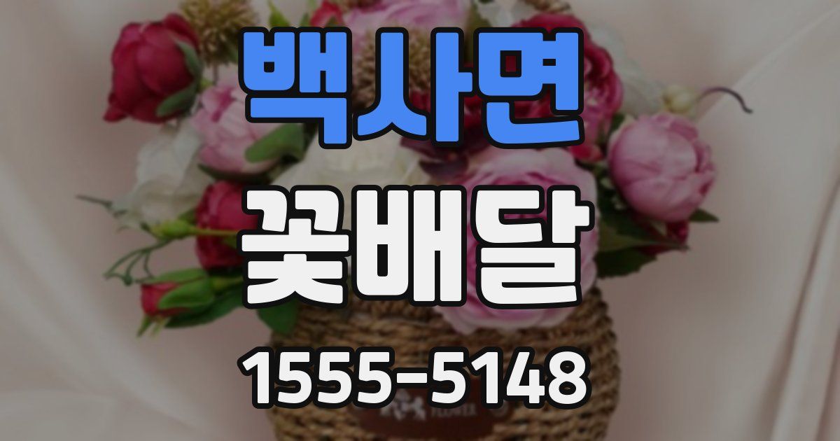 백사면 꽃배달