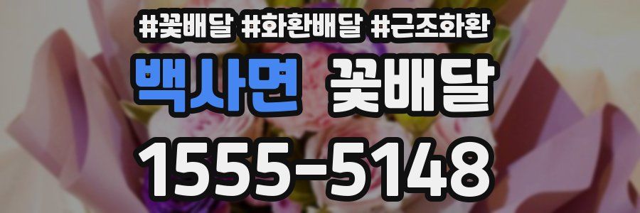 백사면 꽃배달
