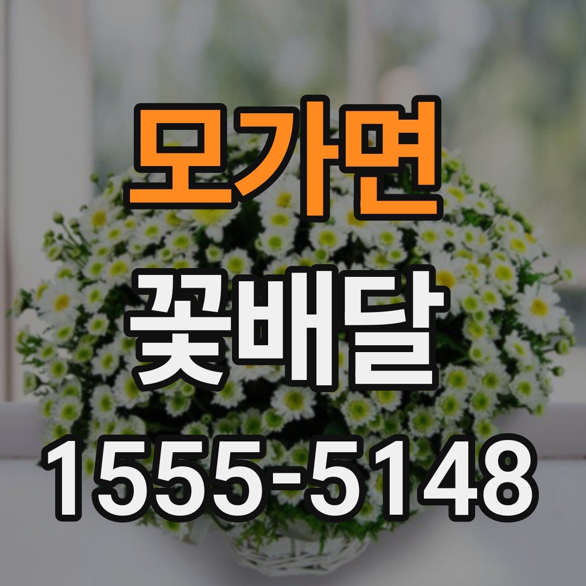 모가면 꽃배달