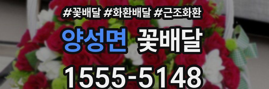 양성면 꽃배달
