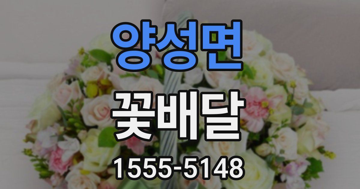 양성면 꽃배달