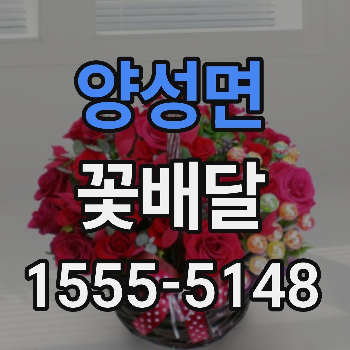 양성면 꽃배달