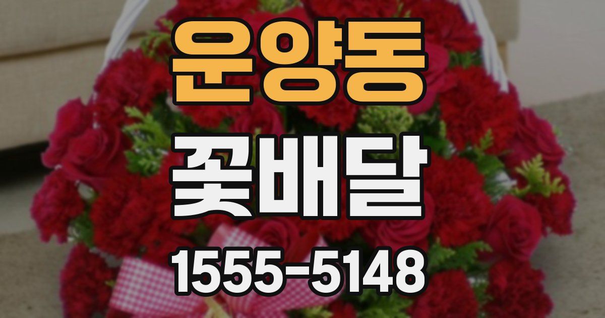운양동 꽃배달