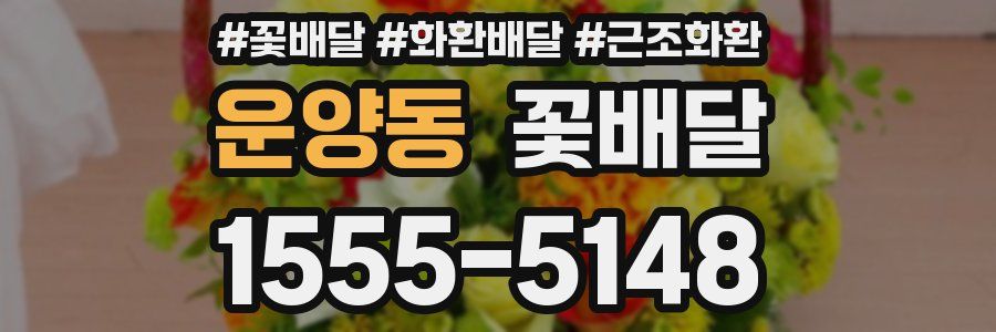 운양동 꽃배달