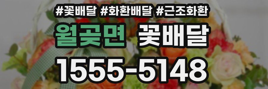 월곶면 꽃배달