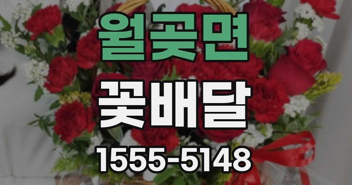 월곶면 꽃배달
