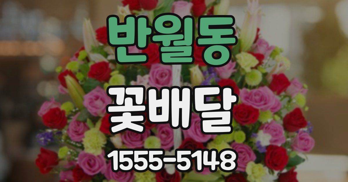 반월동 꽃배달