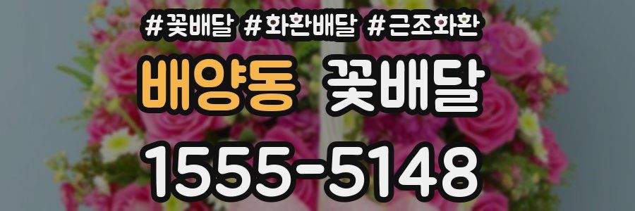 배양동 꽃배달