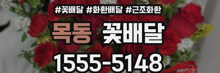 목동 꽃배달