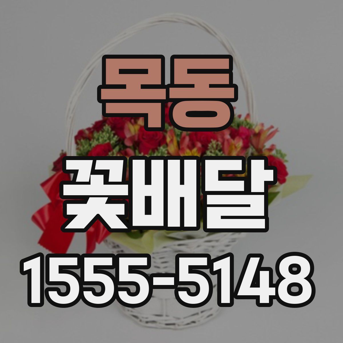 목동 꽃배달