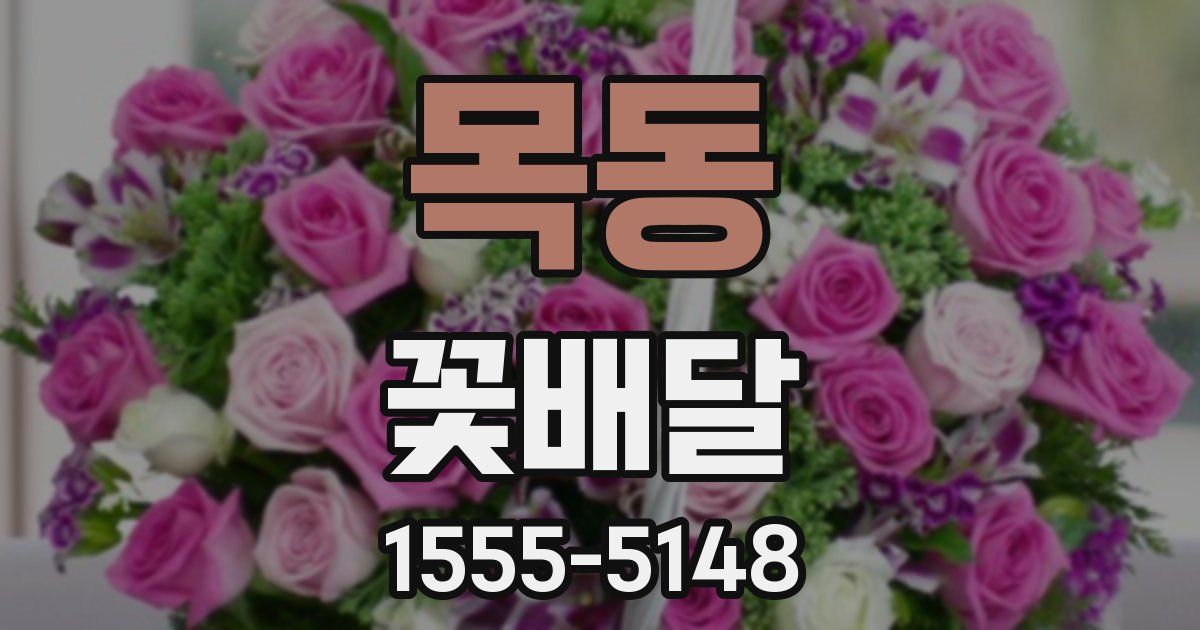 목동 꽃배달