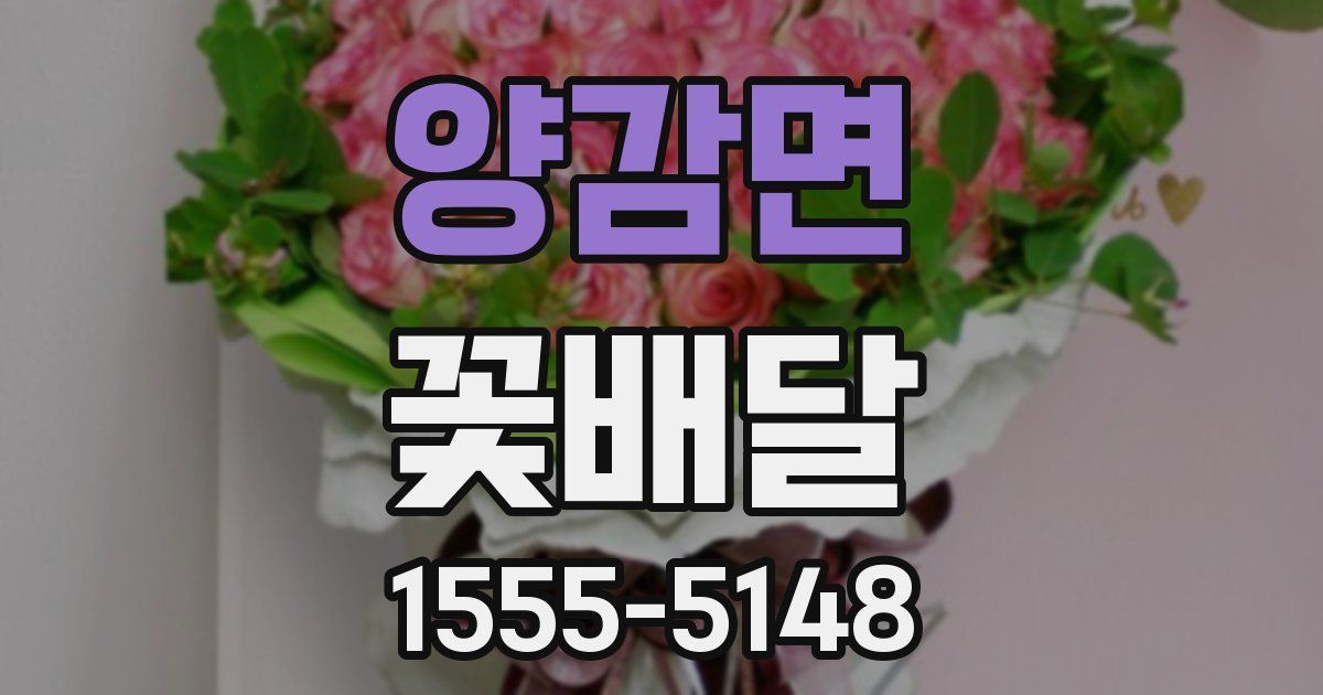 양감면 꽃배달
