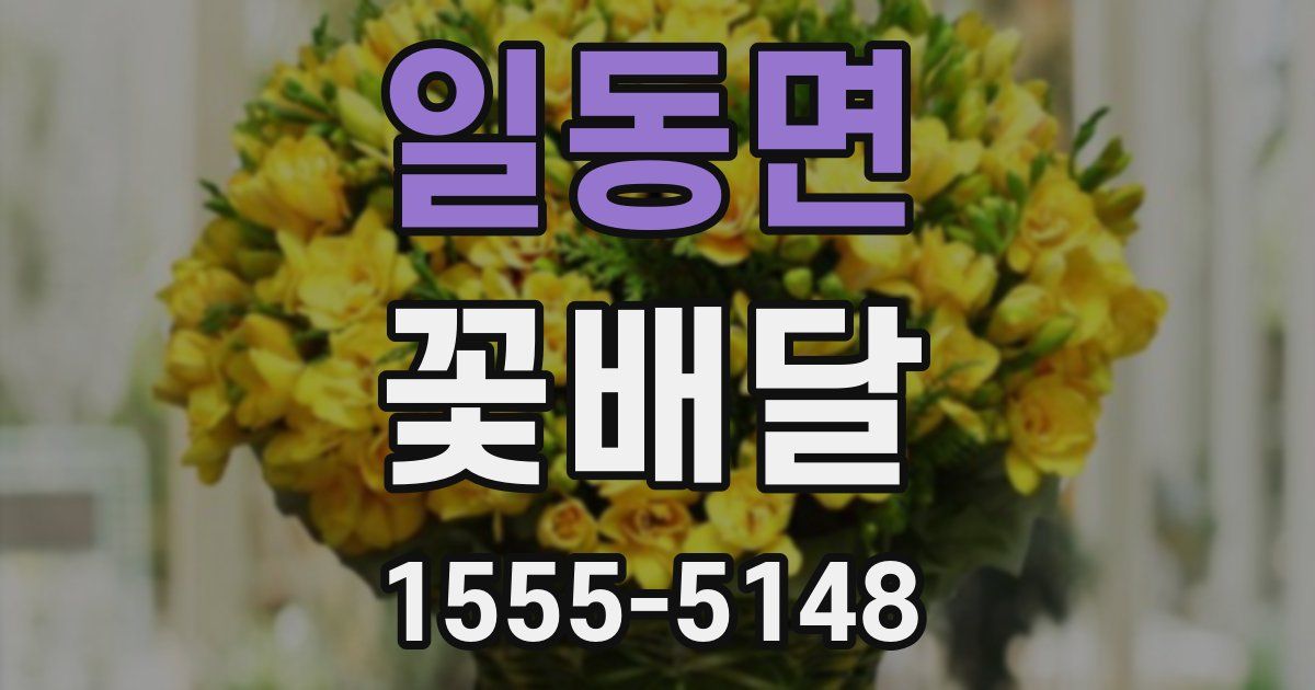 일동면 꽃배달