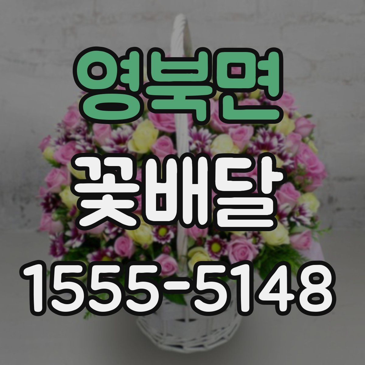 영북면 꽃배달