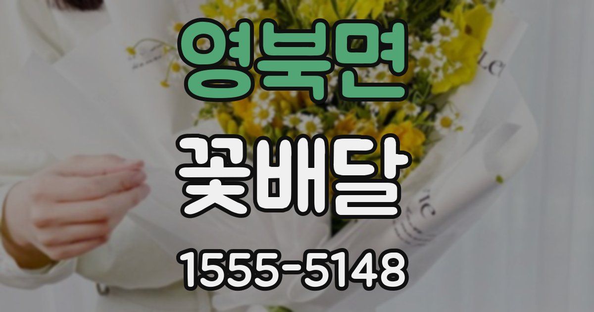 영북면 꽃배달