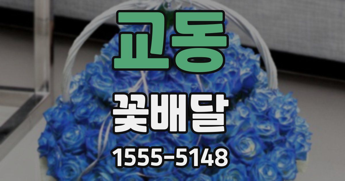 교동 꽃배달